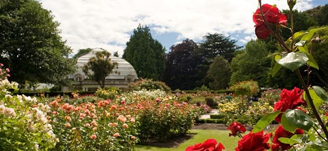 Botanic Garden in Hagley Park